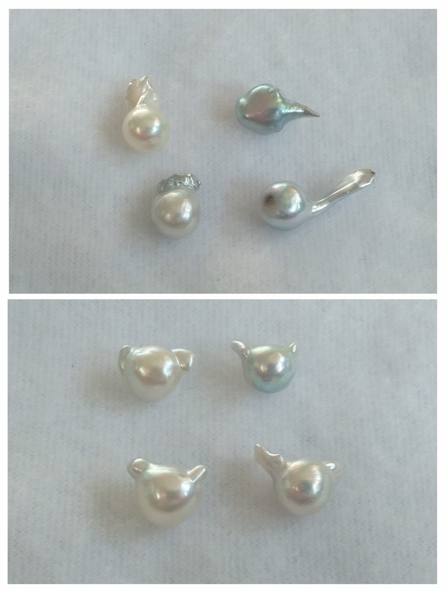 世界のふしぎな真珠たち - 株式会社ツジモト真珠